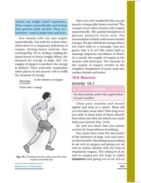 7 Respiration In Organisms PDF