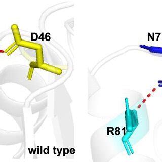 Schematic illustration of the changes in hydrogen bonds. The different ...