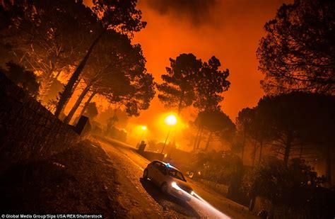 Arsonists Are Blamed For Fires In Spain And Portugal Daily Mail Online