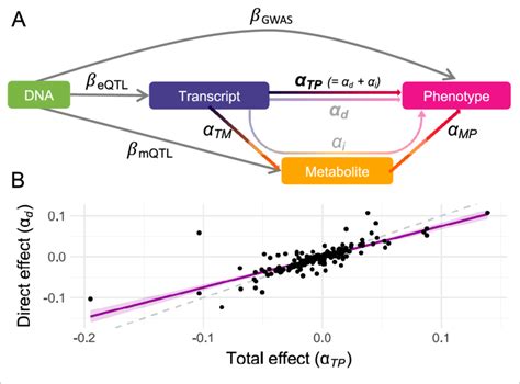 Direct And Mediated Effects A Graphical Representation Of The Download Scientific Diagram