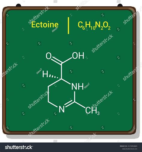 Chemical Structure Ectoine C6h10n2o2 Stock Vector (Royalty Free ...