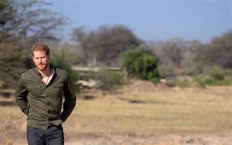 Prince Harry's conservation charity African Parks takes on neglected ...