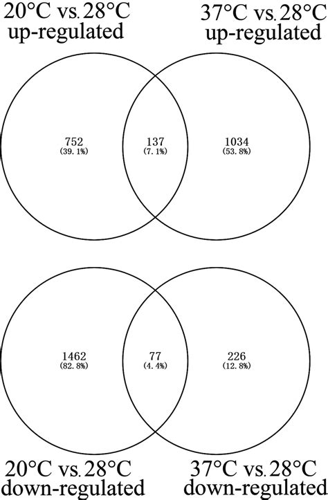 Venn Diagram Depicting The Overlap In Degs Shared Between Up‐regulated