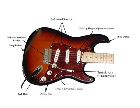 Electric Guitar Bridge Parts Names | Guitar Information