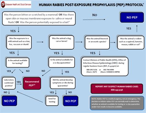 Dph Disease Information Rabies Delaware Health And Social Services