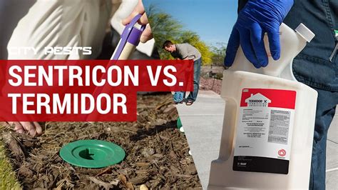 Sentricon Vs Termidor Which Treatment Is Best For Termites