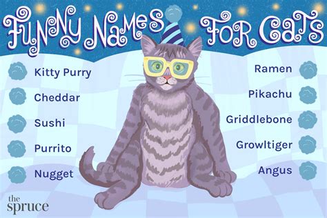Punny Cat Names
