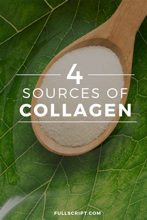 A Look At Collagen Benefits And Best Collagen Supplements Collagen