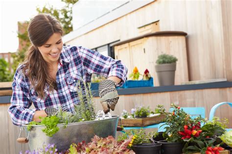 Que faire au jardin en février Astuces pour planter des fleurs et des