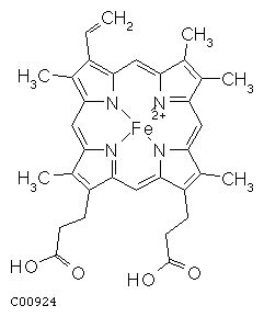 KEGG DBGET Result LIGAND C00924