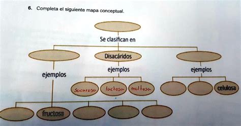 SOLVED Me Ayudan Plis 6 Completa El Siguiente Mapa Conceptual