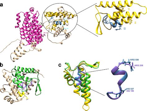 AlphaFold Models Of OsHV 1 And WSSV FicDs A The OsHV 1 FIC Protein