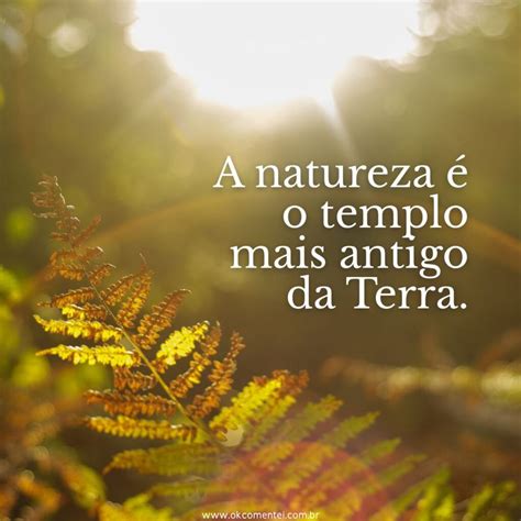 71 frases sobre natureza para celebrar a beleza do mundo natural