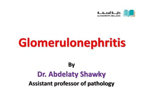 Ppt Glomerulonephritis Powerpoint Presentation Free Download Id