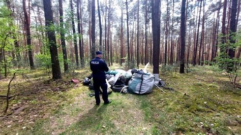 Sterta Odpad W Porzucona W Lesie W Gminie Rozprza Policja Zatrzyma A