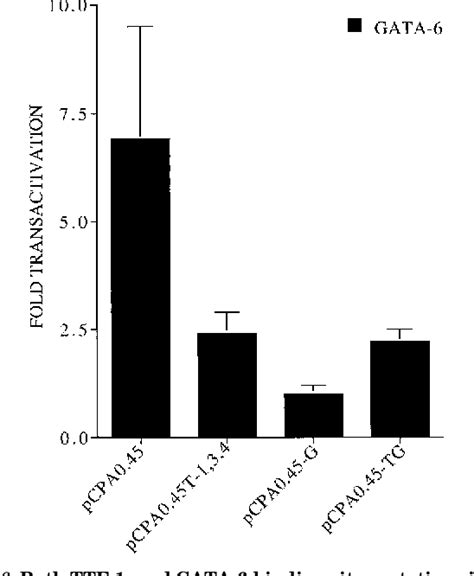 Figure 1 From GATA 6 Activates Transcription Of Surfactant Protein A