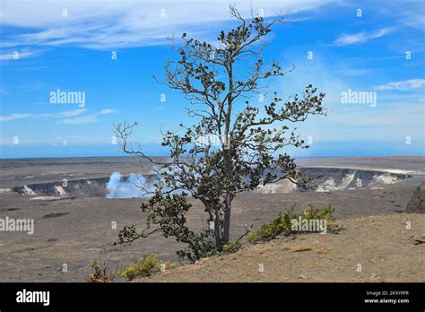 The Picturesque Steaming Craters Kilauea And Halemaumau Hawaiʻi