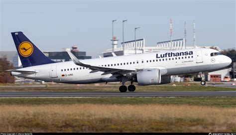 D Aing Lufthansa Airbus A N Photo By Marco Materlik Id