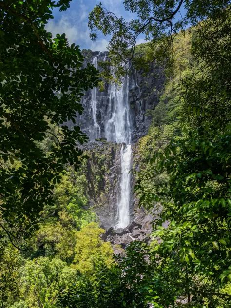 Discover the Breathtaking Waikato Waterfalls - WaikatoNZ