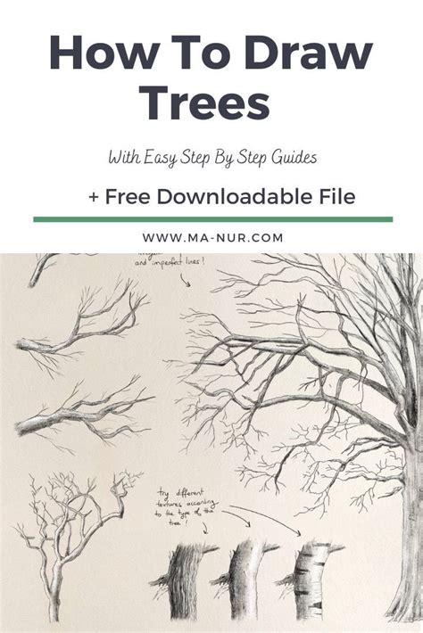 How To Draw Trees Step By Step Simple Trees Drawing Tutorials Artofit