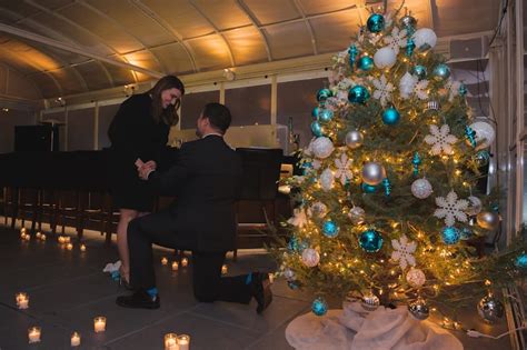 New York City Christmas Tree Proposal