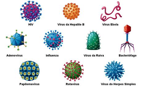 Doenças Por Vírus - Resumo: Doenças causadas por vírus | Bio Nota 10