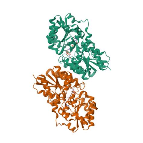 RCSB PDB 4FKZ Crystal Structure Of Bacillus Subtilis UDP GlcNAc 2