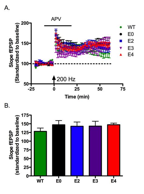 Nmda Receptor Independent Ltp Is Not Affected By Apoe Isoform A Long