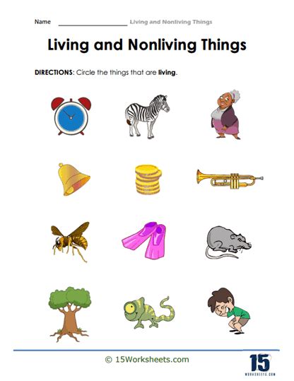 Living and Nonliving Things Worksheets - 15 Worksheets.com