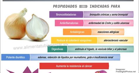 Los Mejores Alimentos Depurativos El Apio Y La Cebolla Infografia And Un