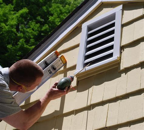 The Social Structure of a Wasp Colony - Wasp Removal Toronto