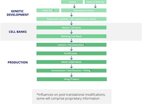 The Biosimilar Approval Process How Different Is It Considerations