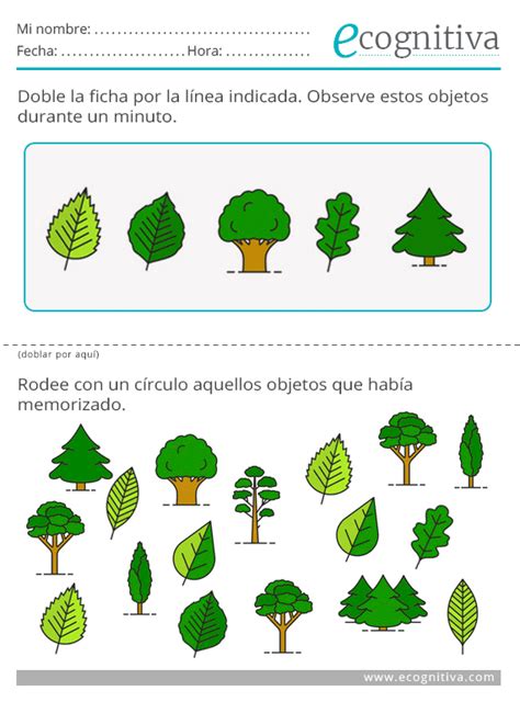 Ejercicios Para La Memoria De Adultos