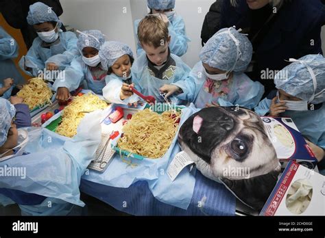 Children Pretend To Be Vets For The Day At The London Animal Hospital