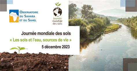 Journée mondiale des sols 5 décembre 2023 Les sols et leau