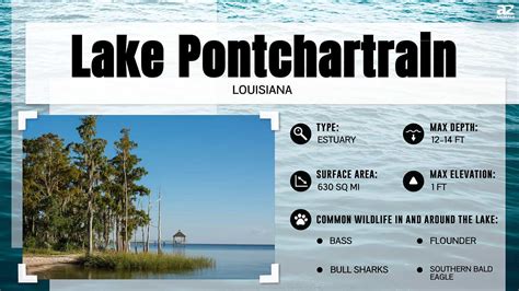 Lake Pontchartrain Fishing, Size, Depth, And More - A-Z Animals