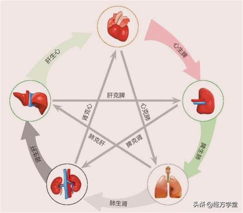 中醫面診之基礎知識，五色 五味 五臟 五行 每日頭條