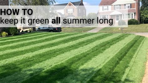 Keep Your Lawn Green Through Summer Youtube