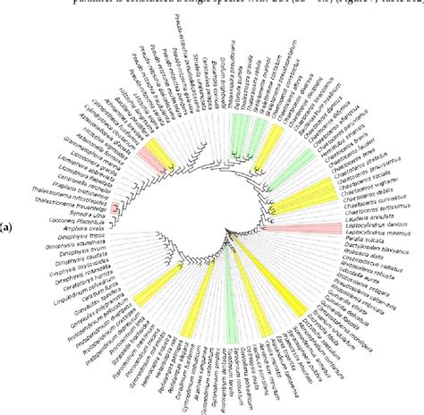 Figure 7 From DNA Barcode Gap Analysis For Multiple Marker Genes For