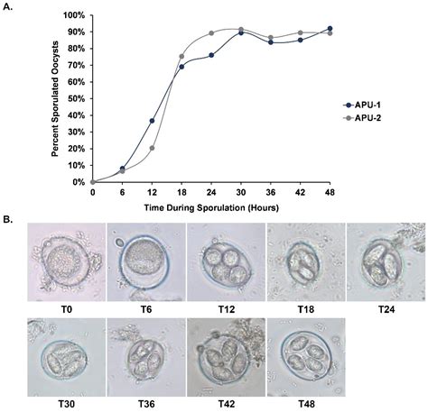 Pathogens Free Full Text Rna Seq Of Phenotypically Distinct Eimeria