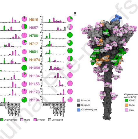 Site Specific Glycosylation Of Expression Enhanced Recombinant Trimer