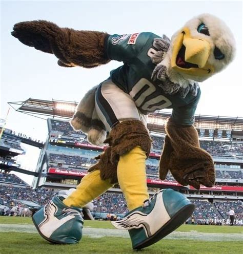 Pin de Kathy Vena en (Eagles) | Philadelphia eagles, Futbol americano ...