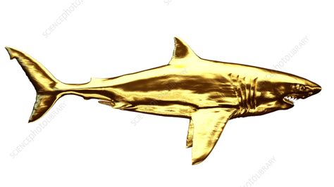 Golden shark, illustration - Stock Image - F038/3309 - Science Photo Library