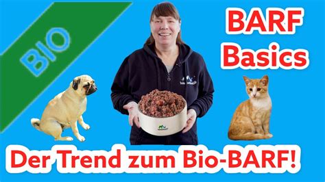 Der Trend Zum Bio BARF I Du Fragst Dich Ob Du Deinen Hund Welpen Mit