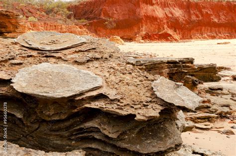 Dinosaur Footprints - Broome - Australia Stock Photo | Adobe Stock