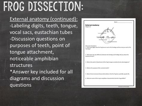 Frog Dissection Lab - Suburban Science