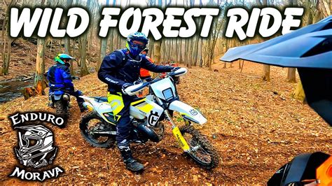 WILD FOREST RIDE 5 Enduro Morava YouTube