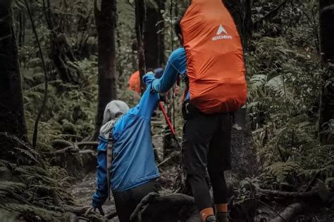 Pendaki Pemula Wajib Tau Tips Ini Agar Pendakian Gunung Tidak Mudah