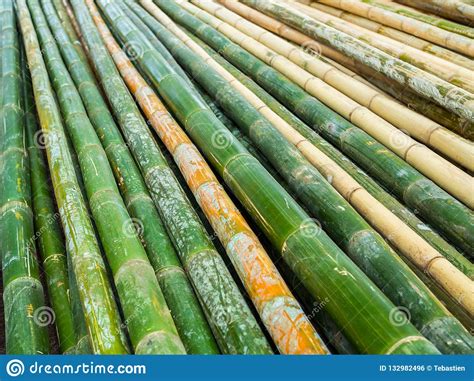 Pilha Do Fundo De Bambu Amarelo E Verde Foto De Stock Imagem De Casca