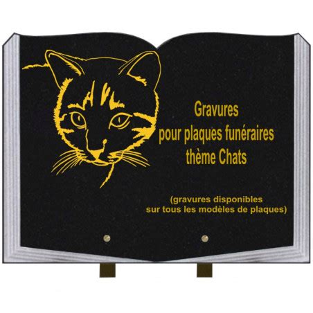 Plaque Fun Raire X Livre Sur Pieds Th Me Chat